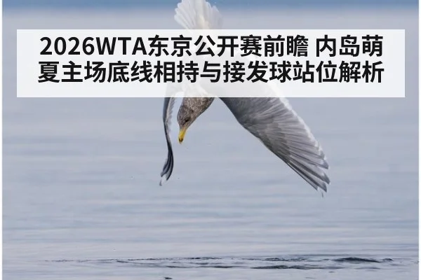 2026WTA东京公开赛前瞻 内岛萌夏主场底线相持与接发球站位解析