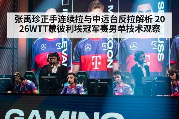 张禹珍正手连续拉与中远台反拉解析 2026WTT蒙彼利埃冠军赛男单技术观察